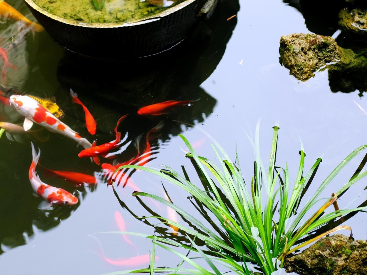 Hong Cun Memory In Water Pansiyon Yi (Anhui) Dış mekan fotoğraf